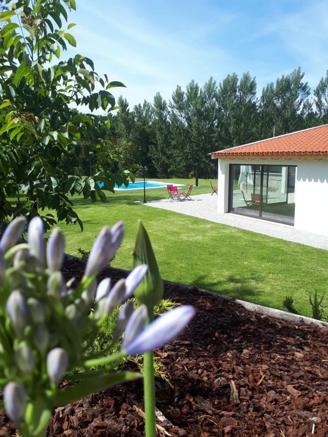 Villa Quinta Do Rio Fafe Exterior foto